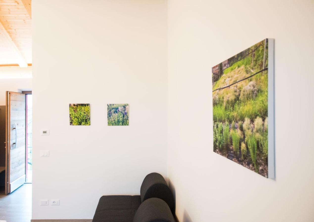 הוילה טרנטו 8 Grappoli Agritur מראה חיצוני תמונה